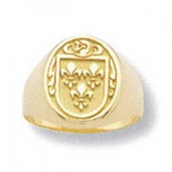Sello con escudo heráldico del apellido en oro de 18 quilates